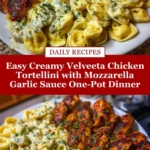 Easy Creamy Velveeta Chicken Tortellini with Mozzarella Garlic Sauce One-Pot Dinner Pin
