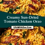 Creamy Sun-Dried Tomato Chicken Orzo Pin 1