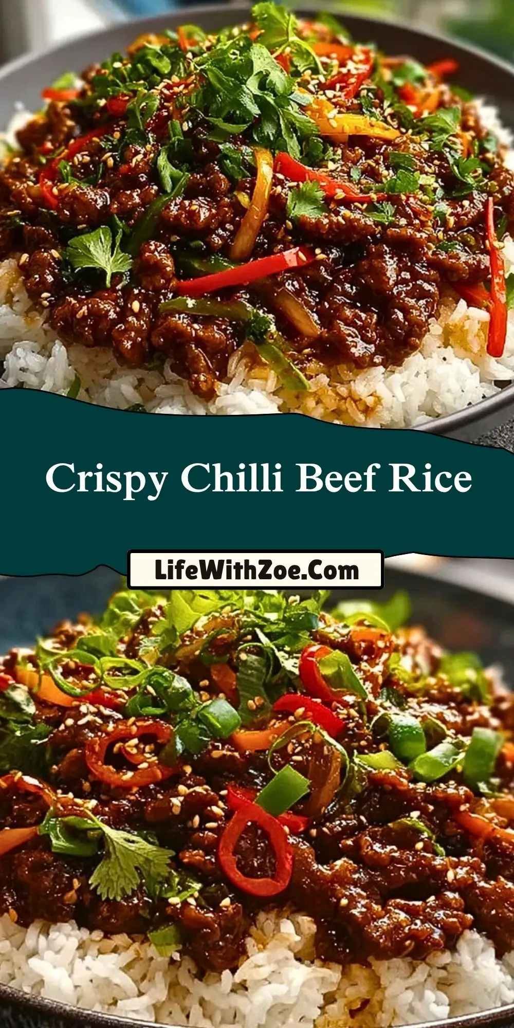 Crispy Chilli Beef Rice (2)