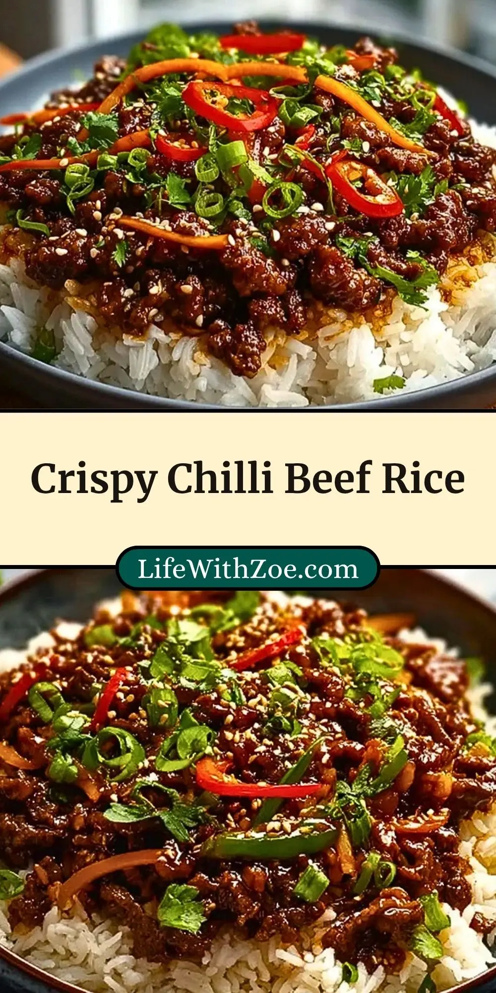 Crispy Chilli Beef Rice (3)