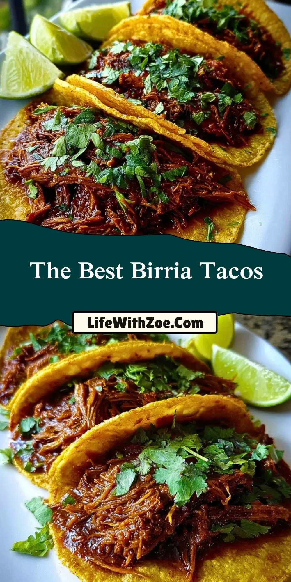 The Best Birria Tacos (2)