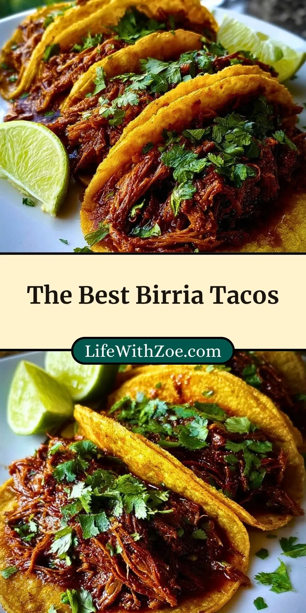 The Best Birria Tacos (3)