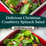 Delicious Christmas Cranberry Spinach Salad (3)