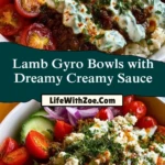 Lamb Gyro Bowls with Dreamy Creamy Sauce (2)