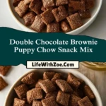 Double Chocolate Brownie Puppy Chow Snack Mix (2)