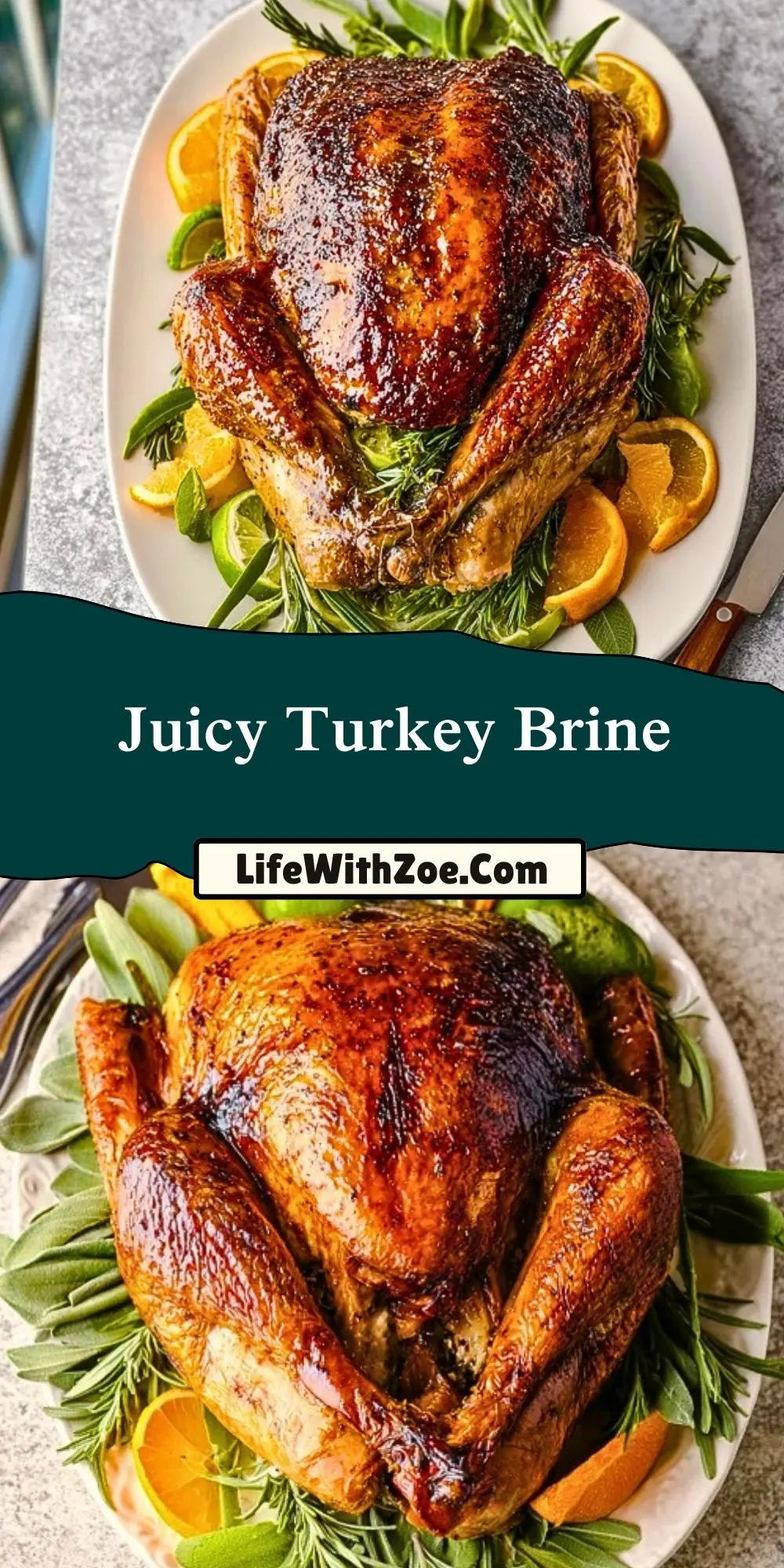 Juicy Turkey Brine (2)