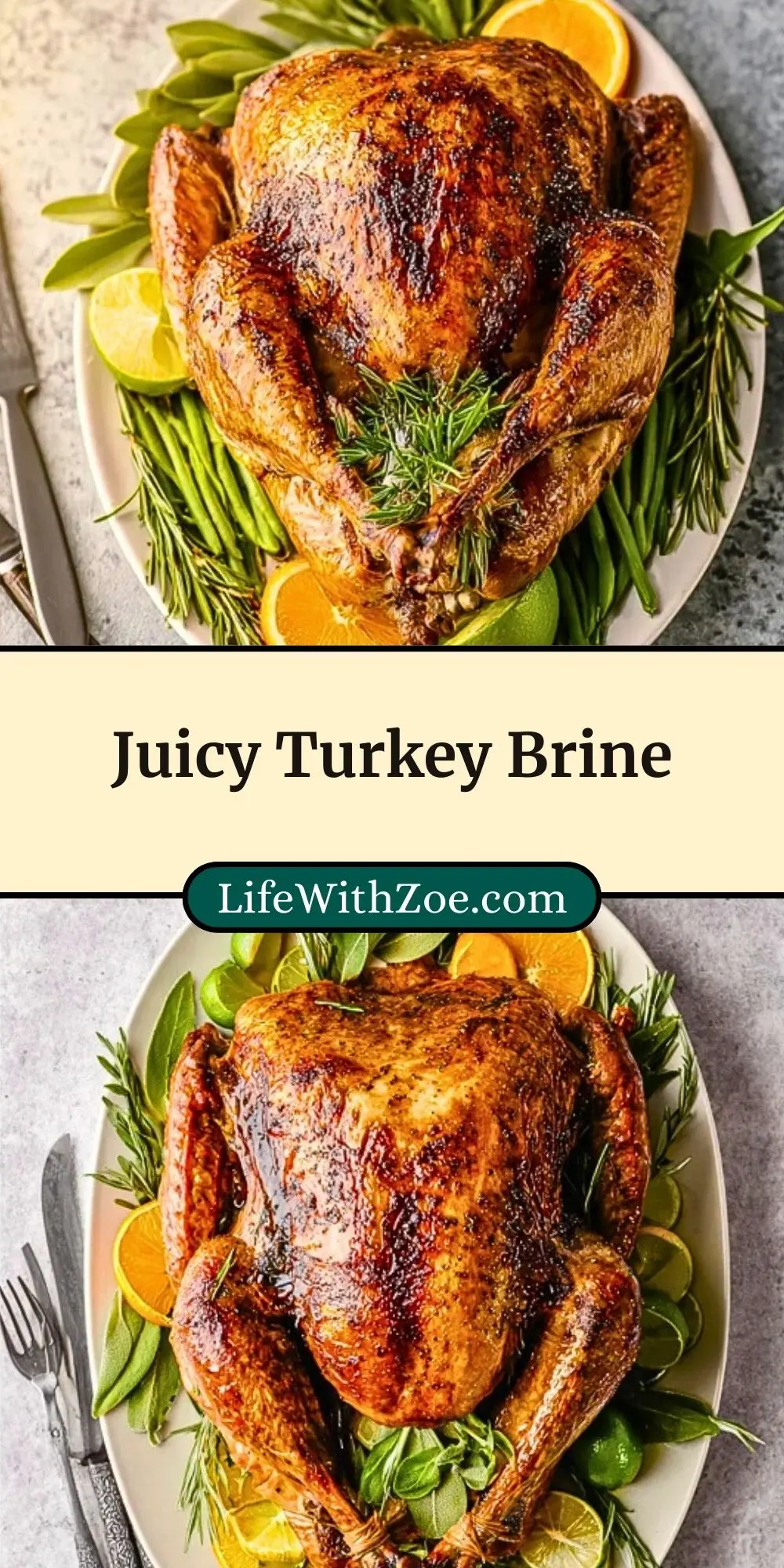 Juicy Turkey Brine (3)