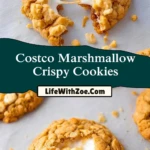 Costco Marshmallow Crispy Cookies (2)