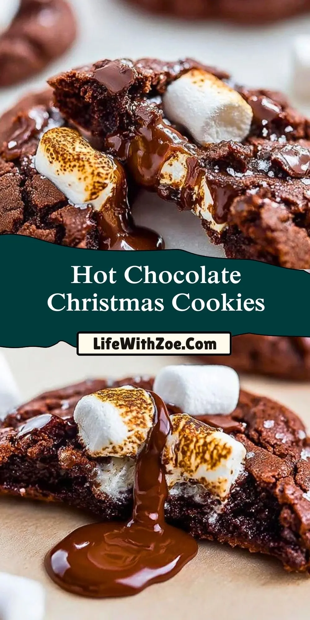 Hot Chocolate Christmas Cookies (2)