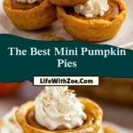 The Best Mini Pumpkin Pies (2)