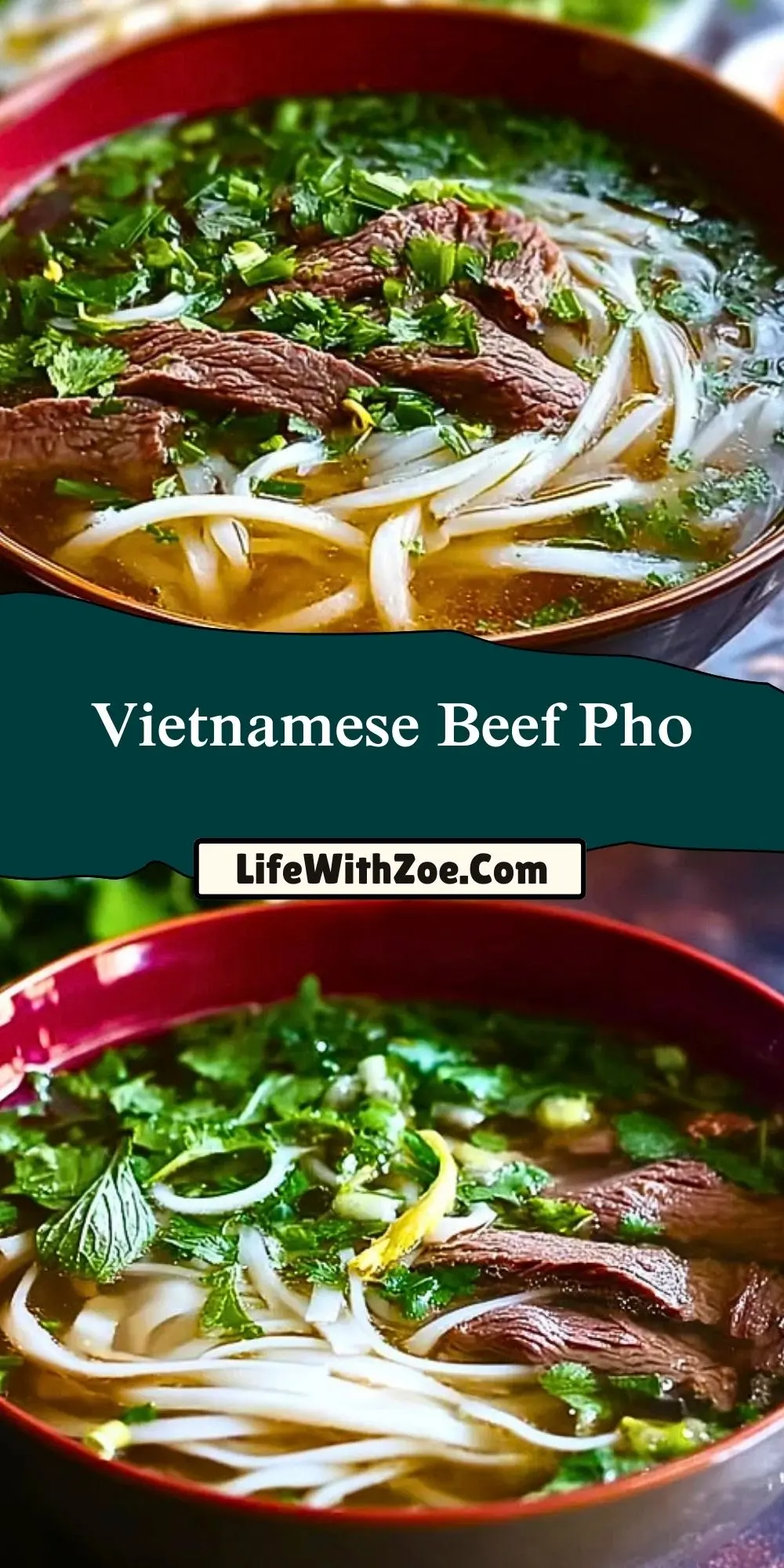 Vietnamese Beef Pho (2)