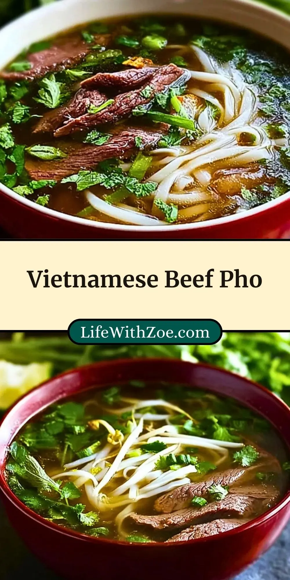 Vietnamese Beef Pho (3)