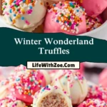 Winter Wonderland Truffles (2)