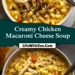 Creamy Chicken Macaroni Cheese Soup (2)