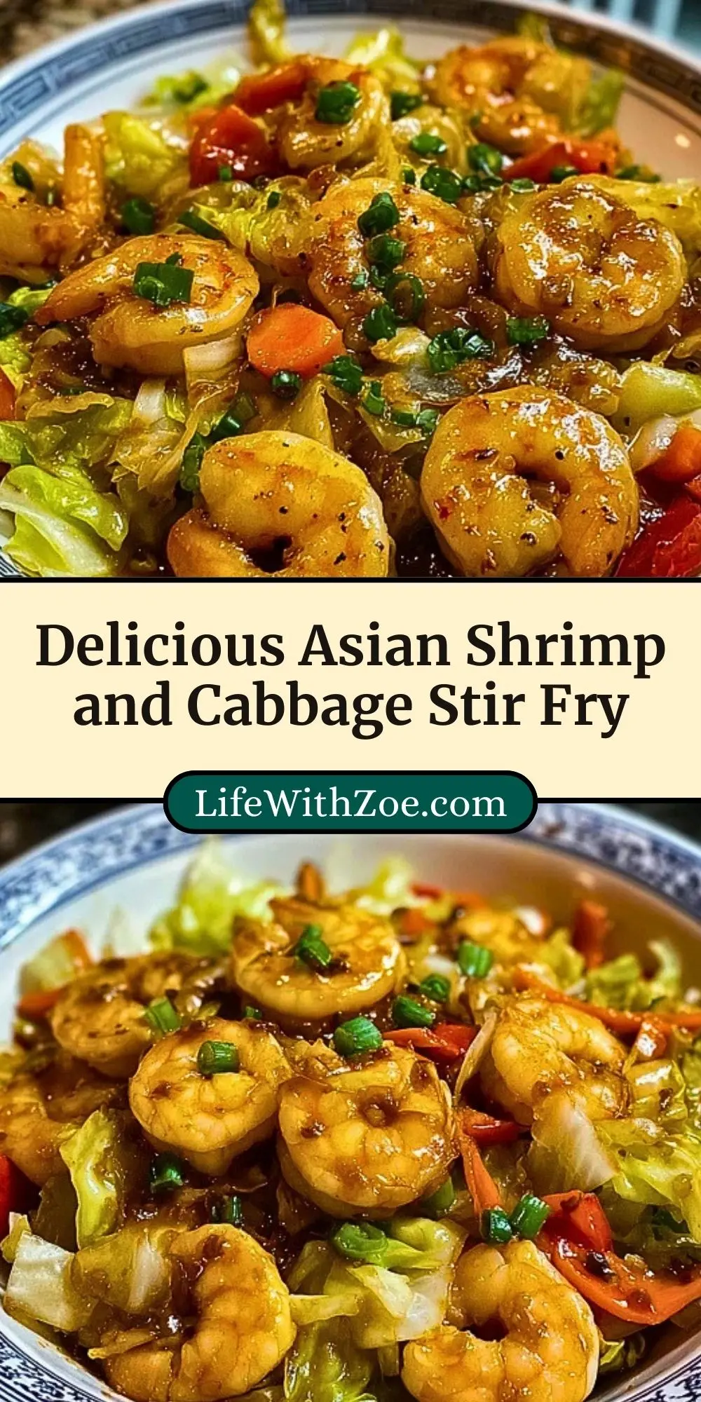 Delicious Asian Shrimp and Cabbage Stir Fry (3)