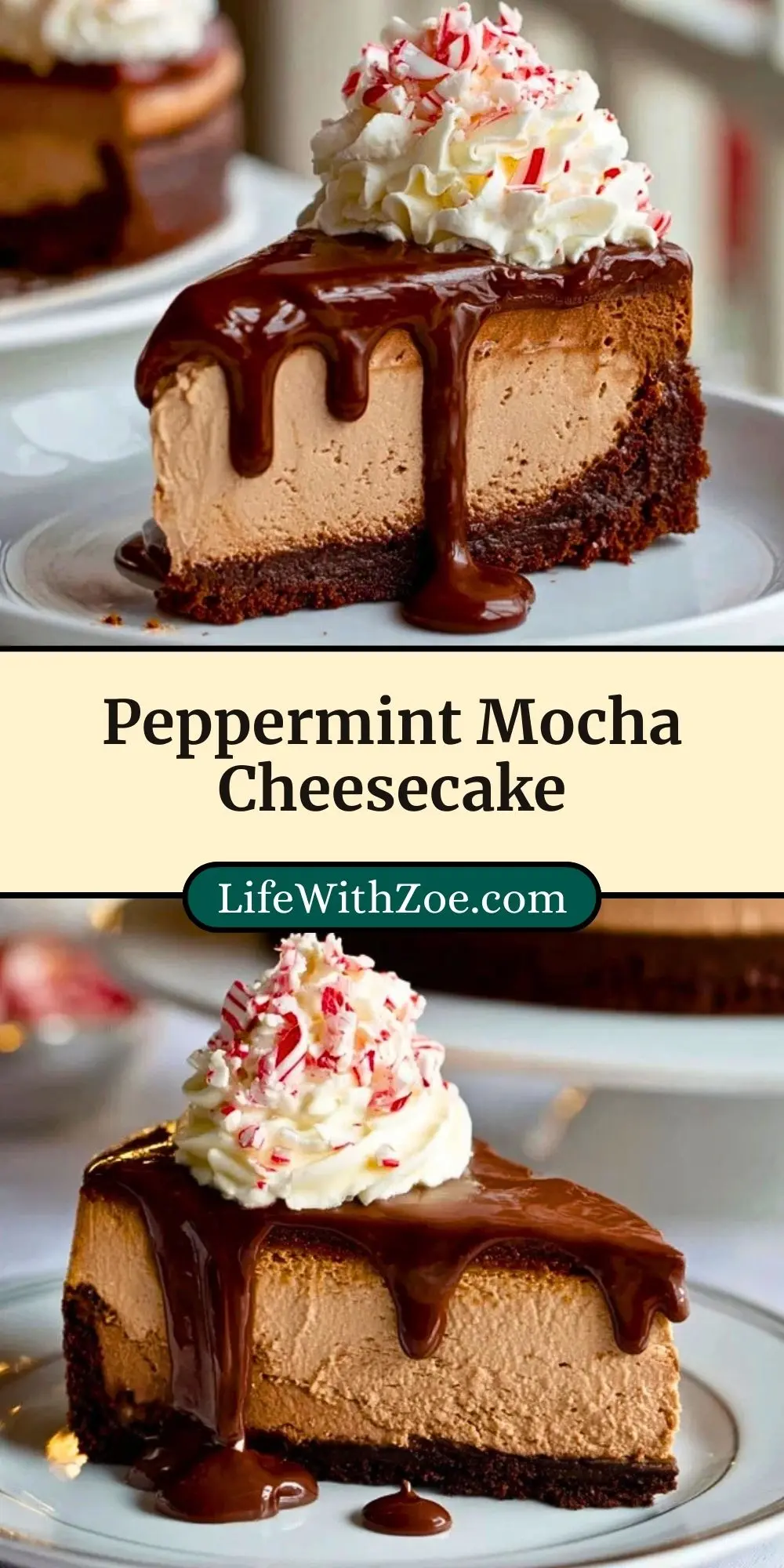 Peppermint Mocha Cheesecake (3)