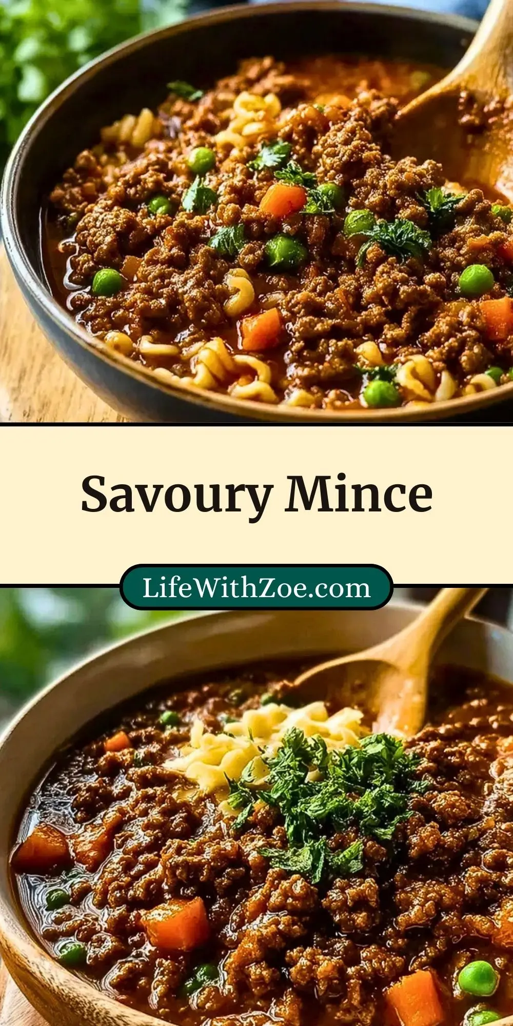 Savoury Mince (3)