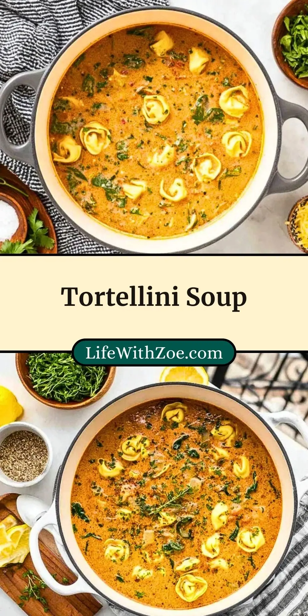 Tortellini Soup (3)