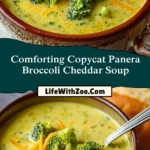 Comforting Copycat Panera Broccoli Cheddar Soup (2)