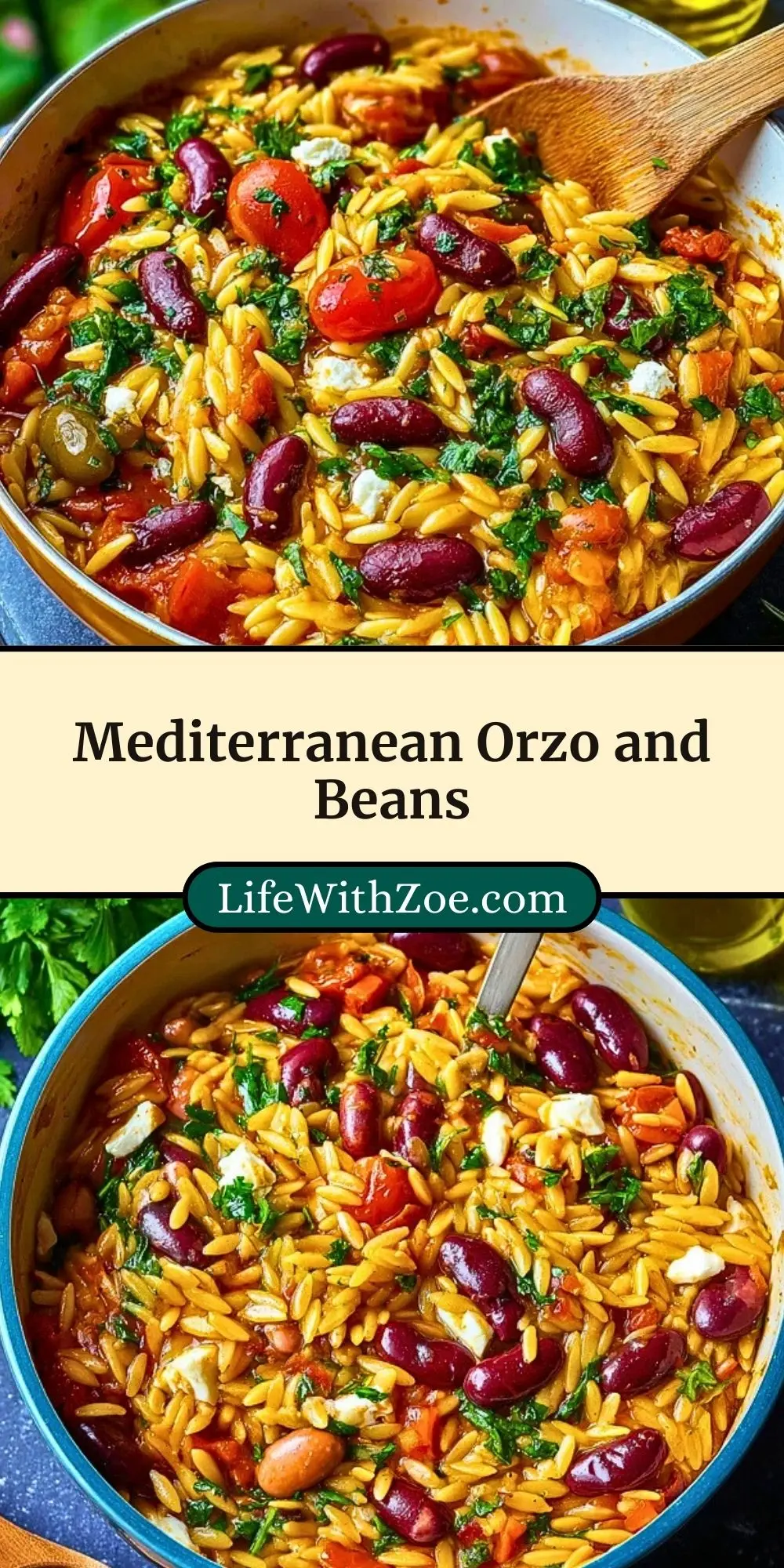 Mediterranean Orzo and Beans (3)