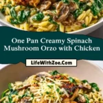 One Pan Creamy Spinach Mushroom Orzo with Chicken (2)
