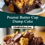 Peanut Butter Cup Dump Cake (2)