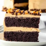 Chocolate Peanut Butter Cake