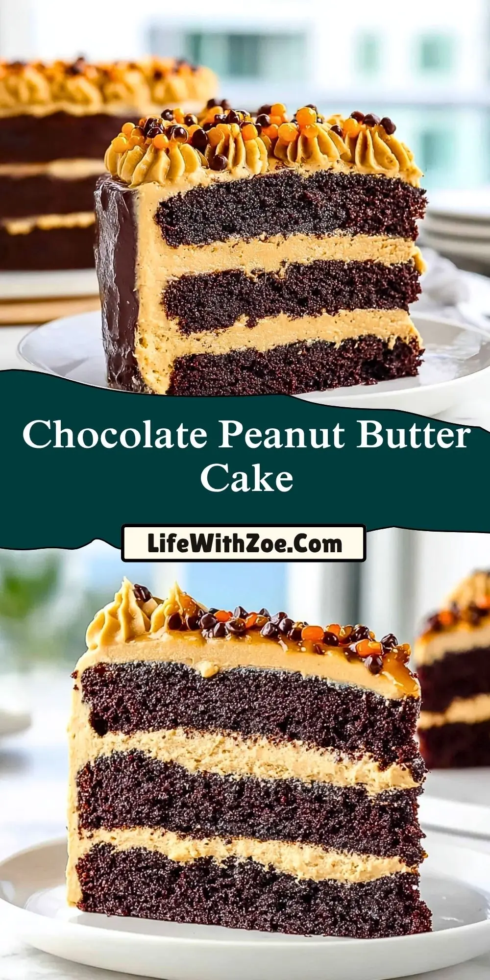 Chocolate Peanut Butter Cake (2)