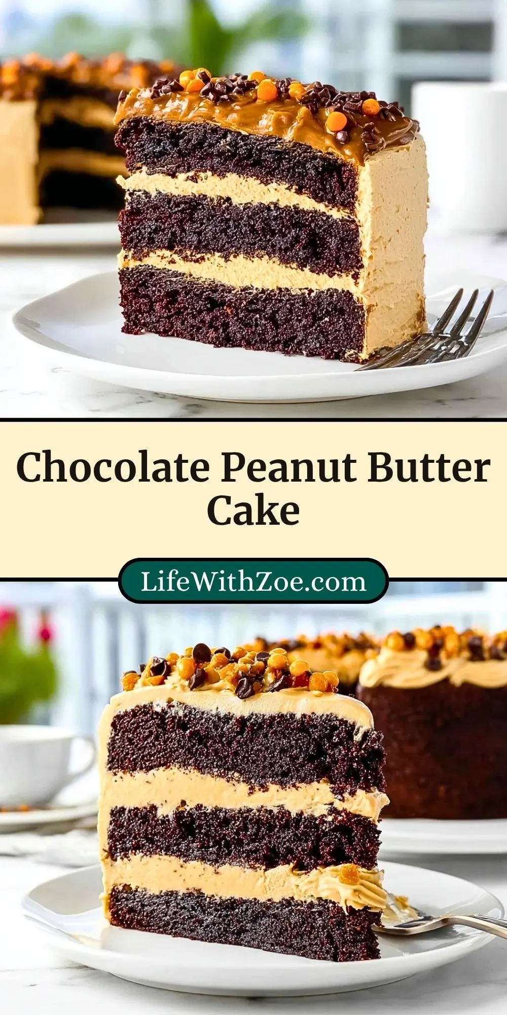 Chocolate Peanut Butter Cake (3)