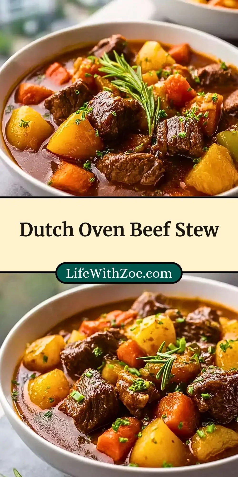 Dutch Oven Beef Stew (3)