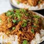 Honey Garlic Chicken and Rice