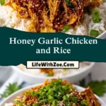 Honey Garlic Chicken and Rice (3)